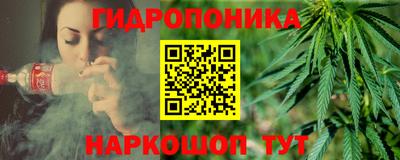 шишки Кандалакша