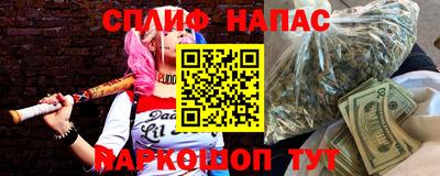 шишки Кандалакша
