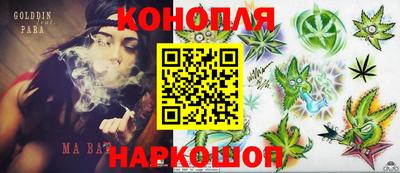 ГАЛЛЮЦИНОГЕННЫЕ ГРИБЫ Камышлов