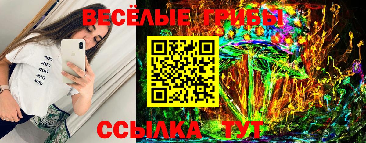 Галлюциногенные грибы MAGIC MUSHROOMS  Вход с VPN  Салехард 